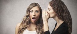 обзор услуг самых популярных в Рошале интернет-провайдеров